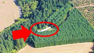 呢個人喺森林度發現咗一架飛機-行近佢， 佢被嚇死了！