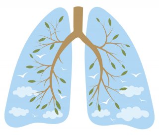 5 Tips to Cleanse Your Lungs