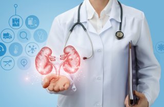 9 Best Herbs for Your Kidney Cleansing