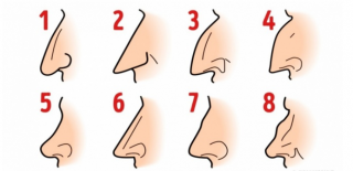 あなたの鼻はどのタイプ？鼻の形で性格診断が可能！